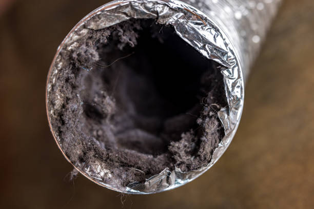 Best Affordable Duct Cleaning Services  in Asheville, NC