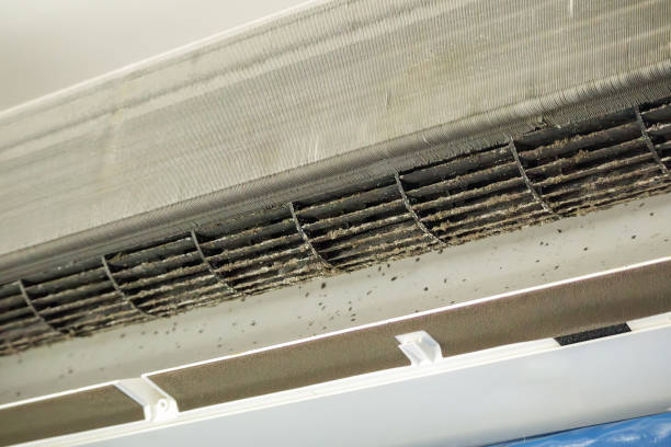 Best Air Duct Cleaning Near Me  in Asheville, NC